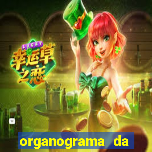 organograma da cacau show